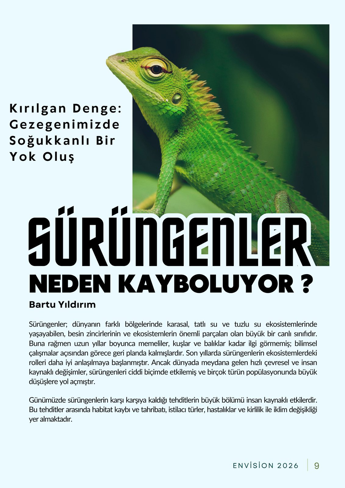 Yazı Görseli